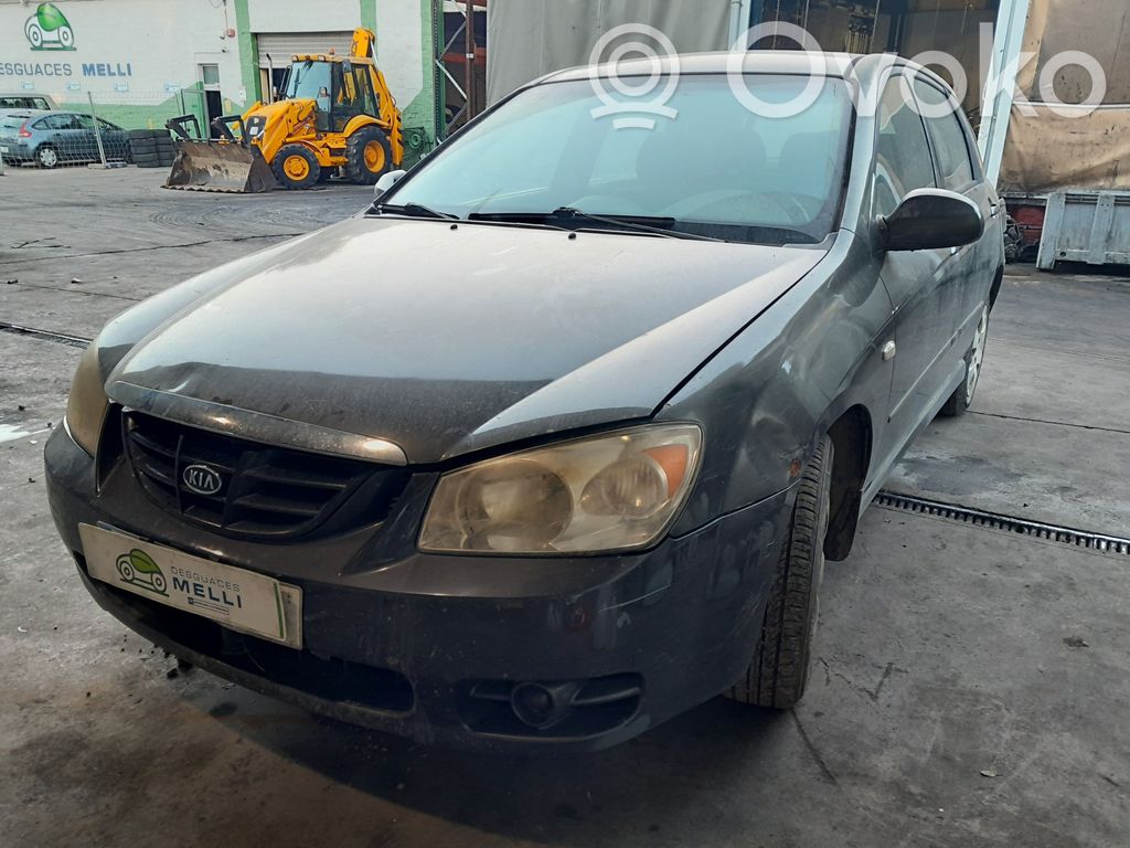 Cerato Cerato  954202D000