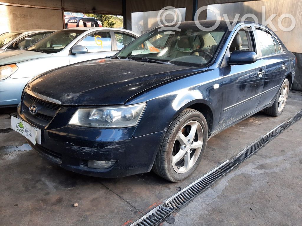 Sonata Sonata  811303K010