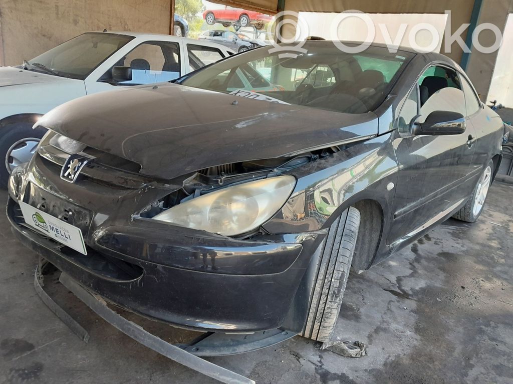 307 CC 307  9643604577