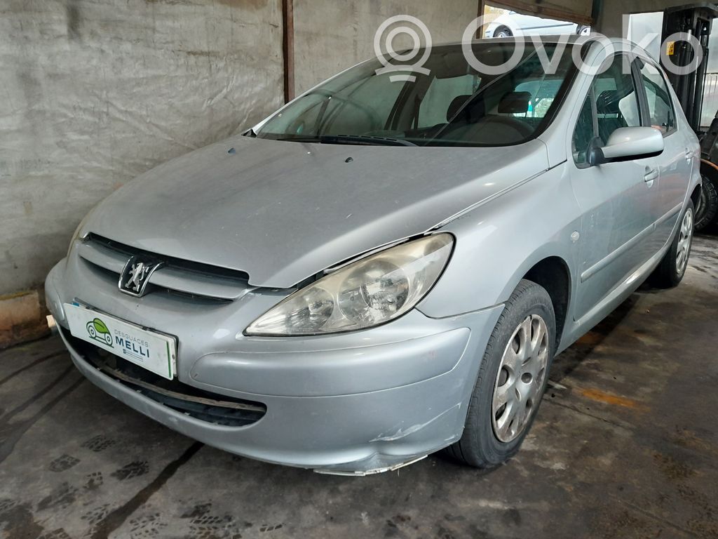 307 307  9658944580