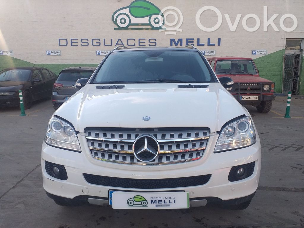 ML W164 ML-class, AMG (W163, W164, W166)  1648104417