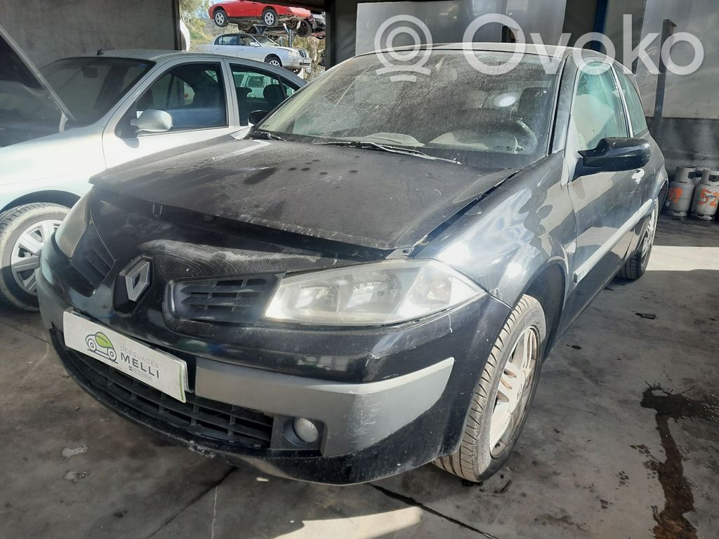 Megane II Megane  8200364015