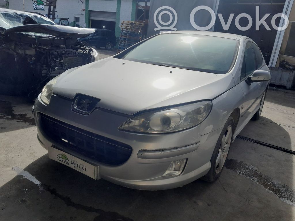 407 407  96818888XT