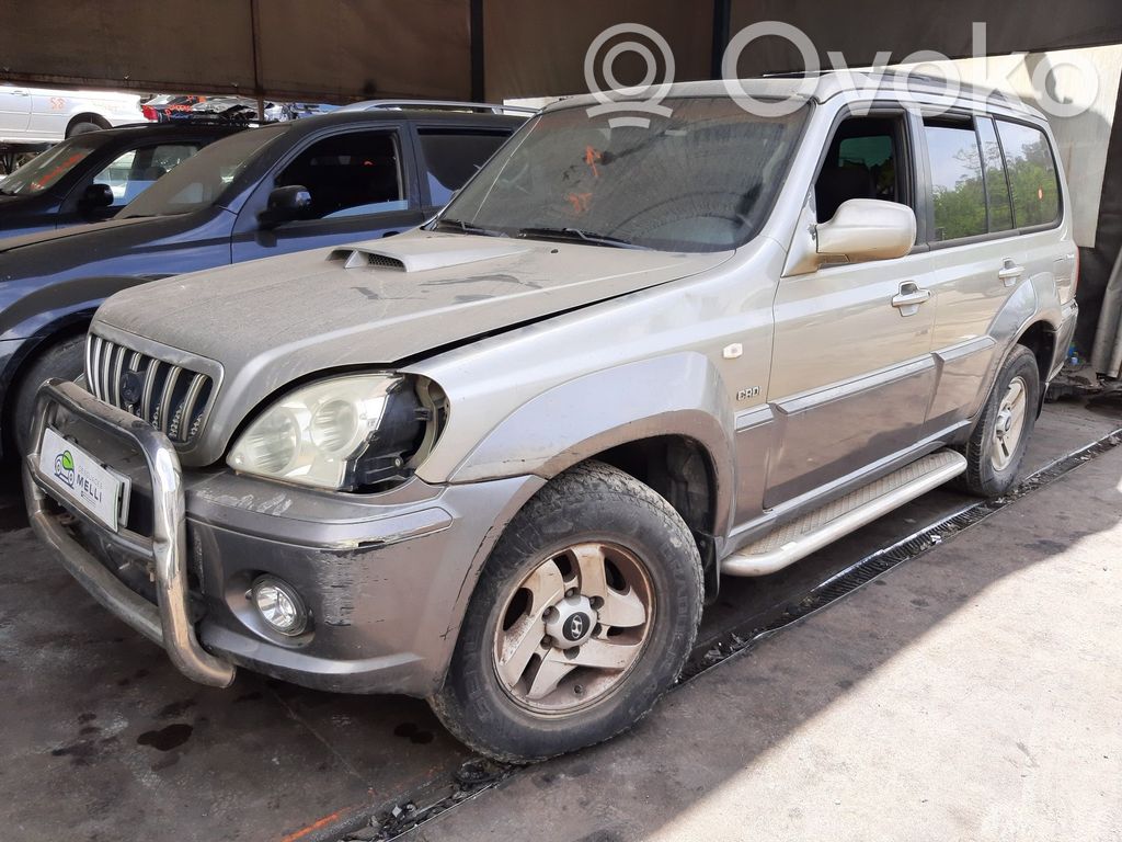 Terracan Terracan  4569631