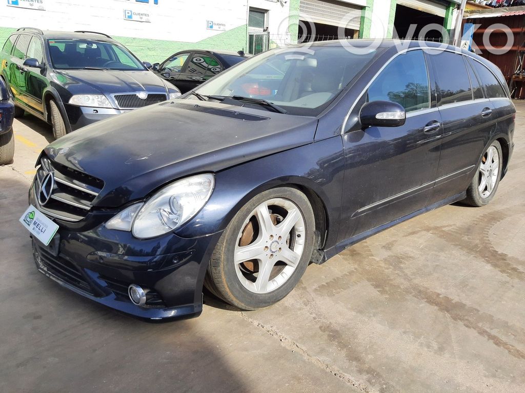 R W251 R-class, AMG (W251)  A6420701987