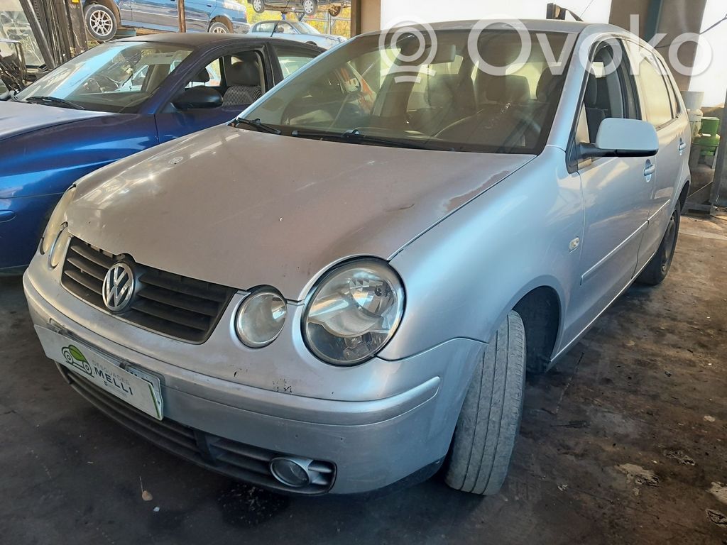 Polo Polo  6Q6839138