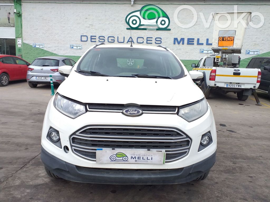 Ecosport Ecosport  1793181