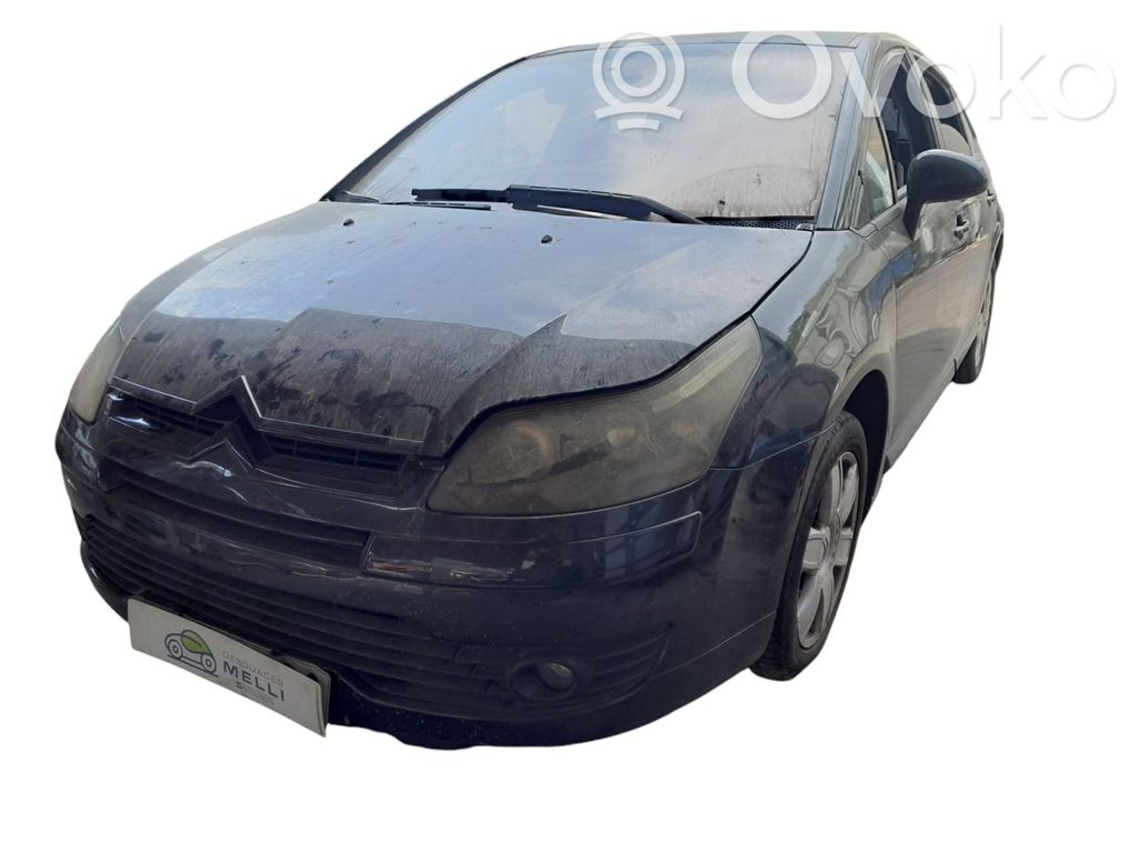 C4 I C4 Picasso, Grand Picasso, Aircross, Cactus  9650912777