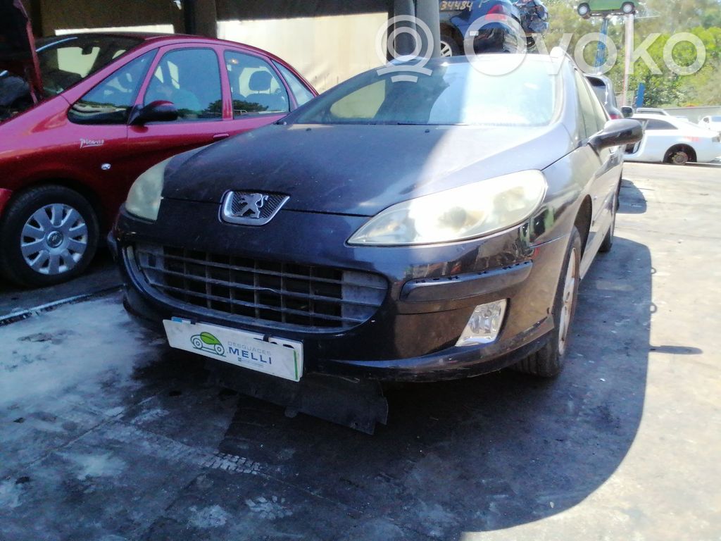 407 407  96573322YW