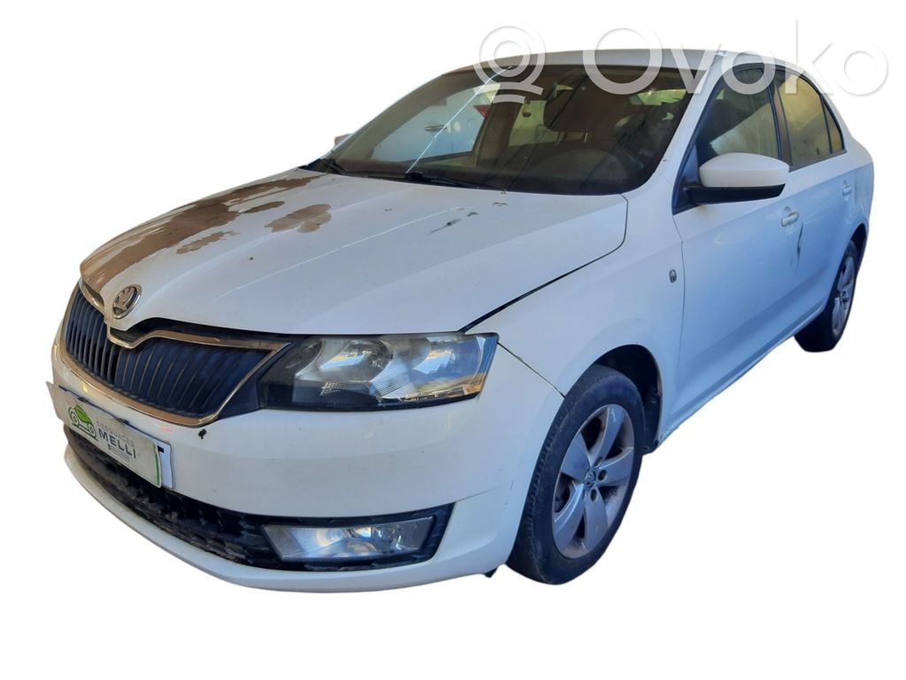 Rapid (NH) Rapid  5JB959565