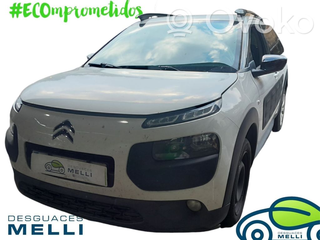 C4 Cactus C4 Picasso, Grand Picasso, Aircross, Cactus  9673622380