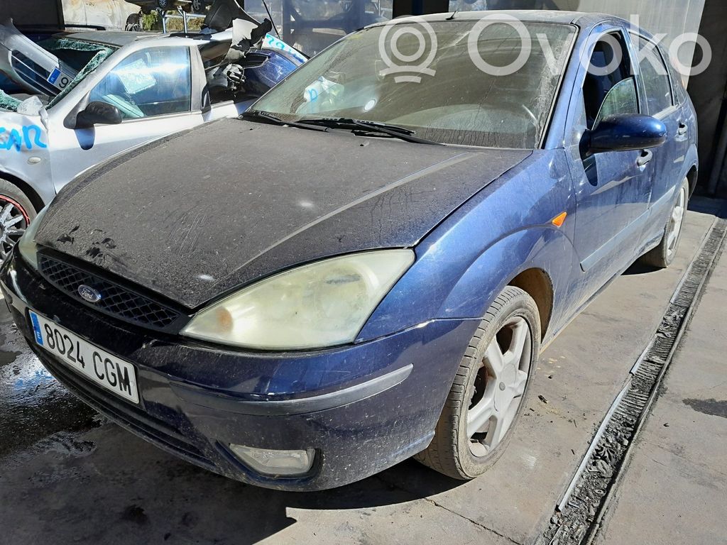 Focus Focus  4555048