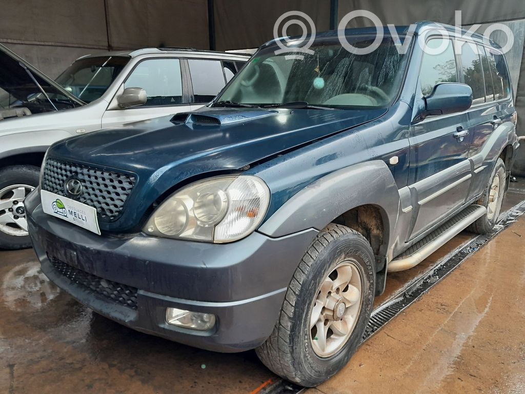 Terracan Terracan  361004X211