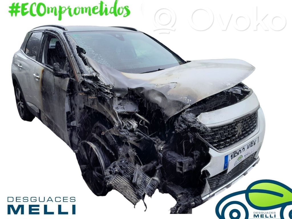 3008 II 3008  98201552W