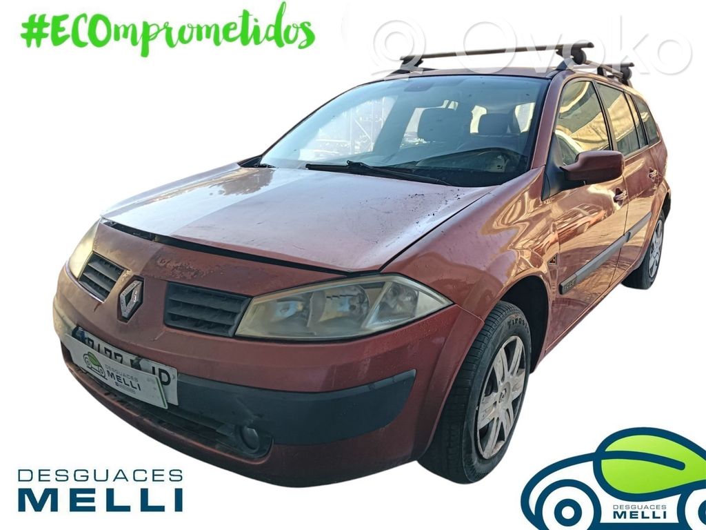 Megane II Megane  D163451323