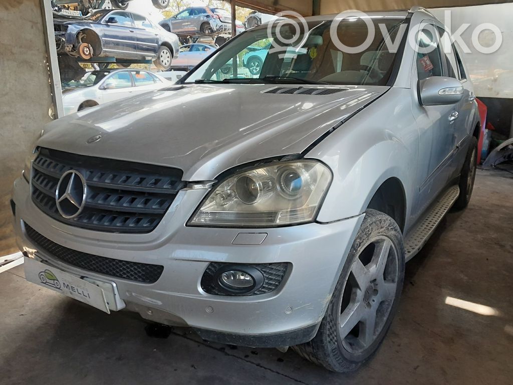ML W164 ML-class, AMG (W163, W164, W166)  164720100564