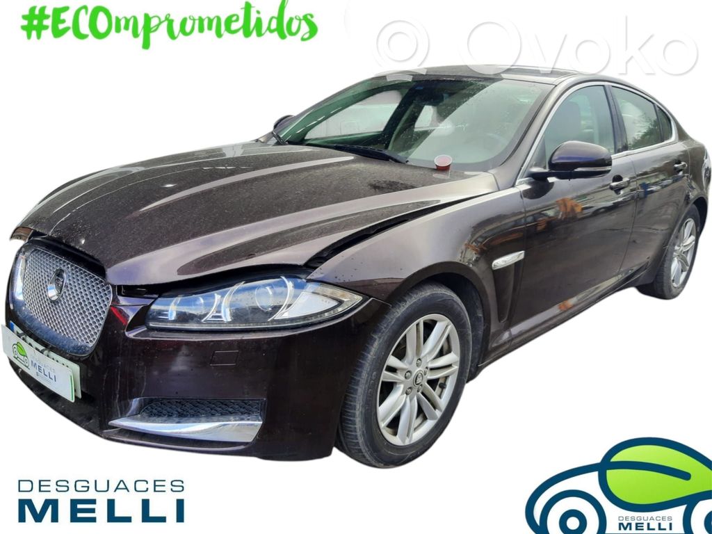 XF X250 XF  C2Z2013