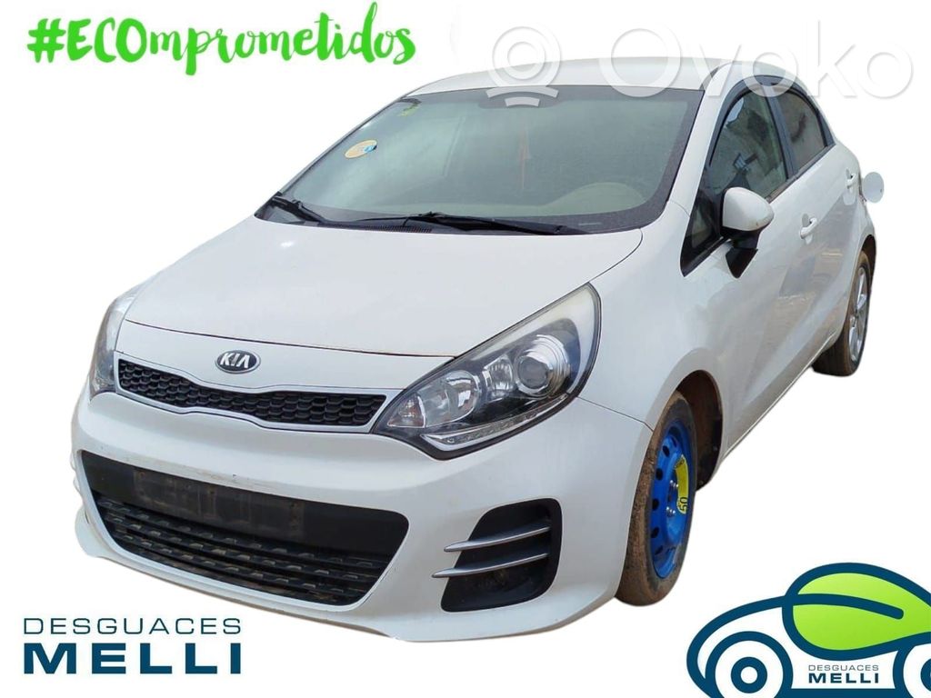 Rio Rio  299105390