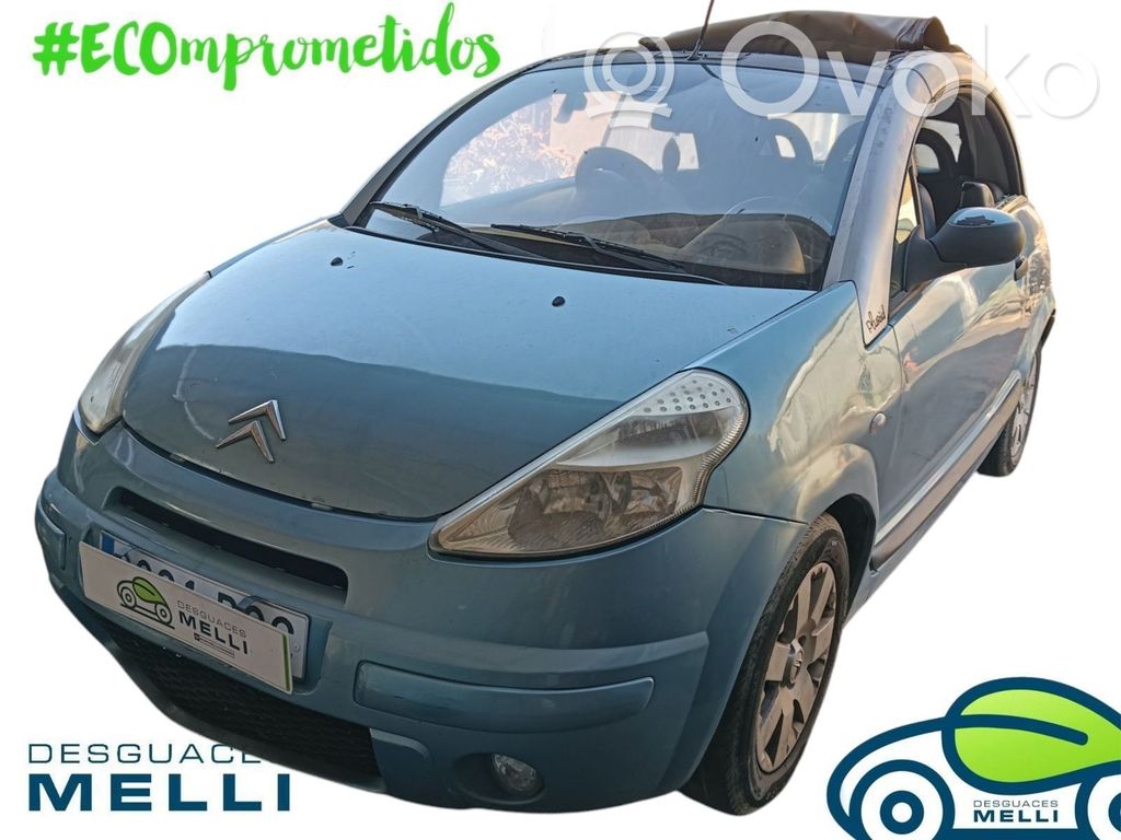 C3 Pluriel C3, Pluriel, Picasso  185526