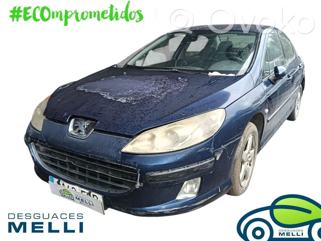 407 407  96573322XF
