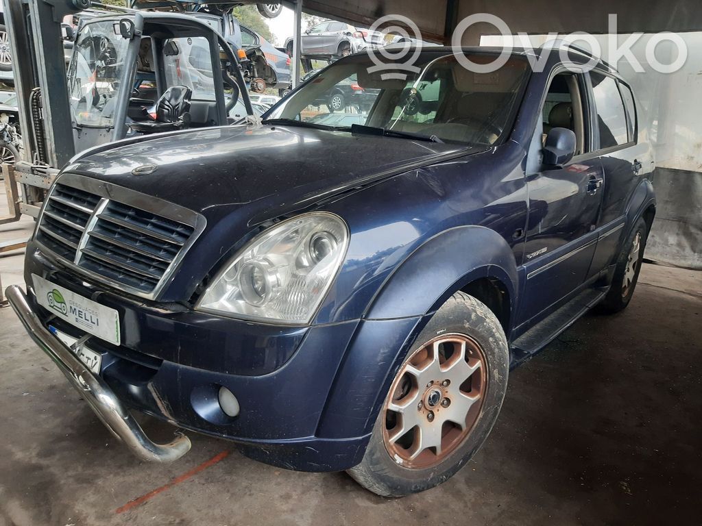 Rexton Rexton  8584008C01