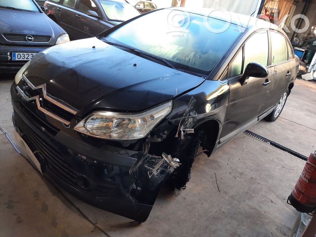 C4 I C4 Picasso, Grand Picasso, Aircross, Cactus  0445110297