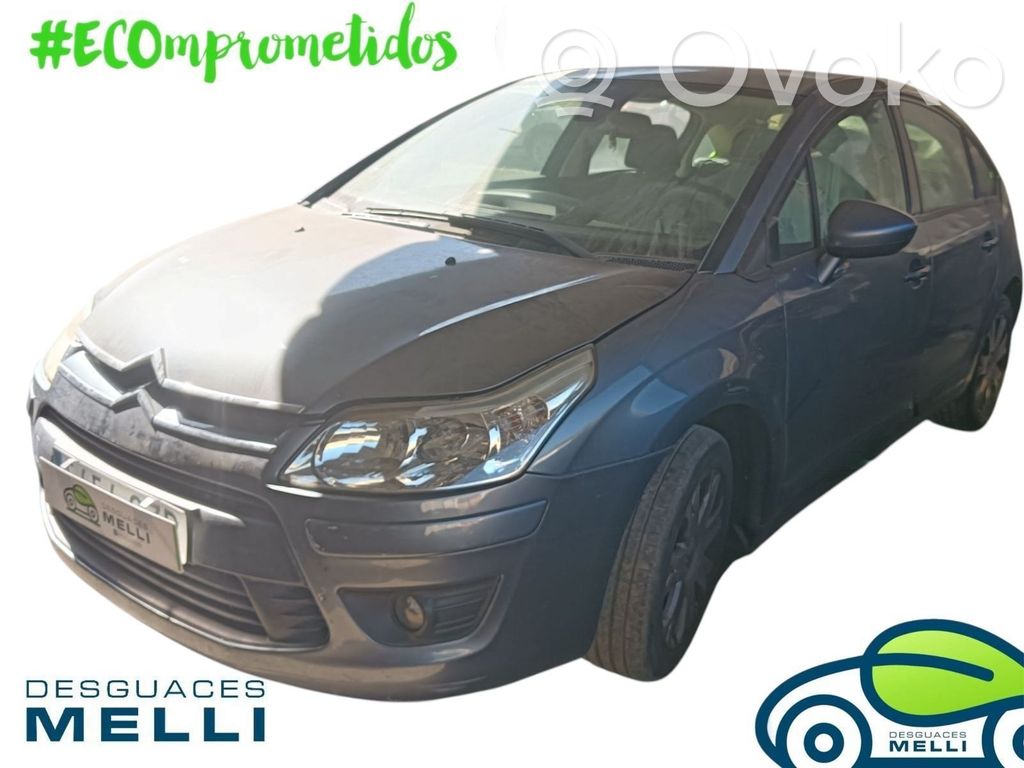C4 I C4 Picasso, Grand Picasso, Aircross, Cactus  1617934080