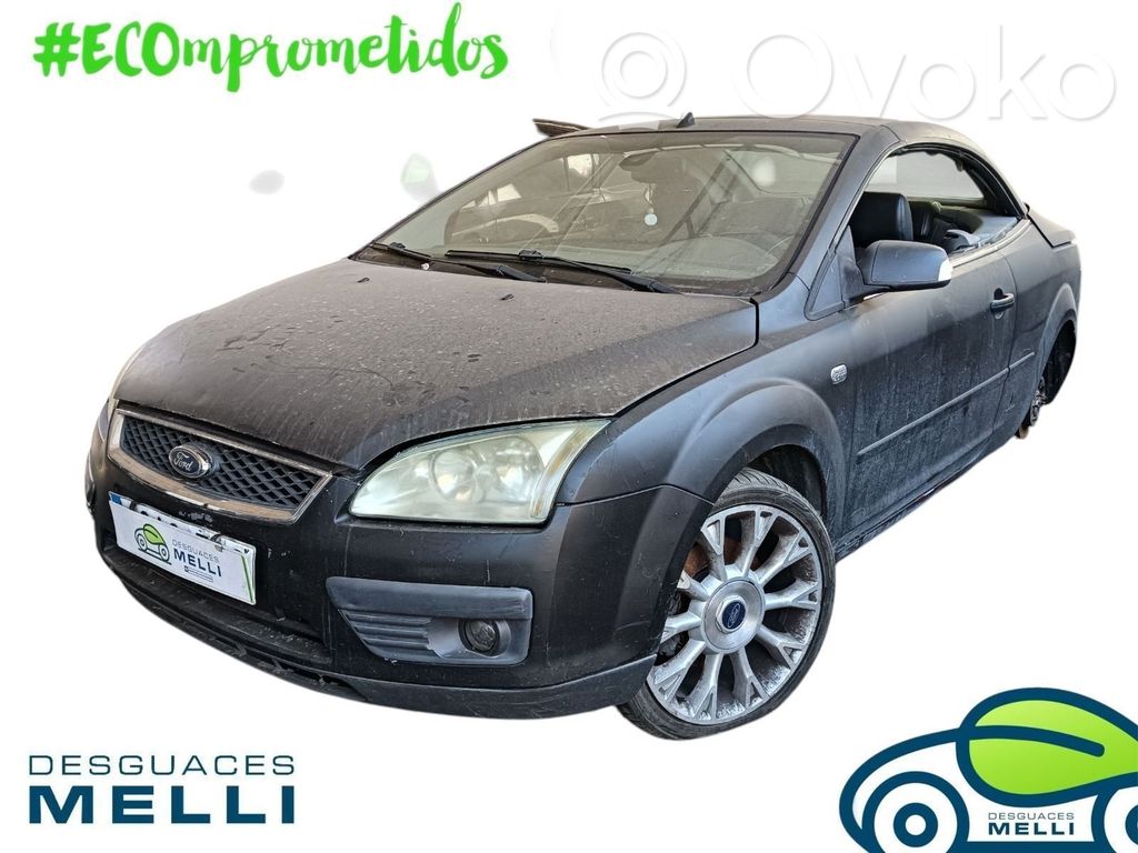 Focus Focus  1670777