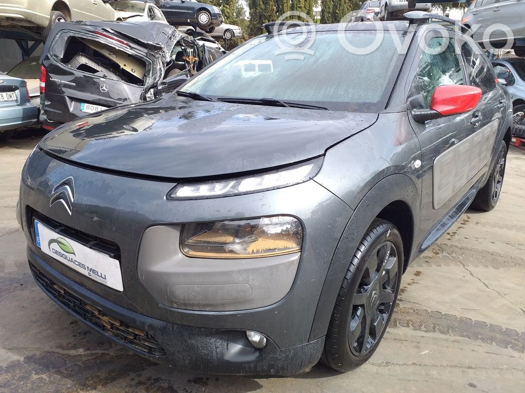 C4 Cactus C4 Picasso, Grand Picasso, Aircross, Cactus  9675749680