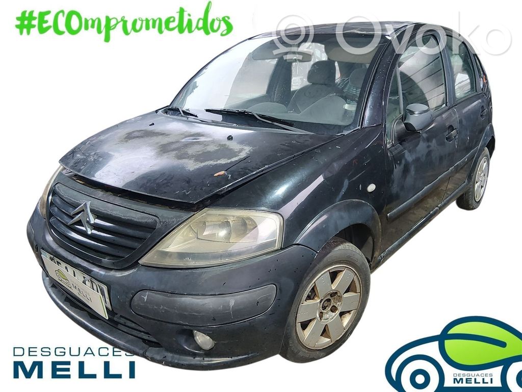 C3 Pluriel C3, Pluriel, Picasso  8143GA