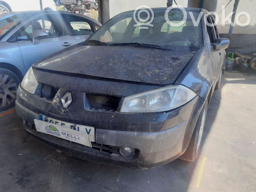Megane II Megane  8200103769