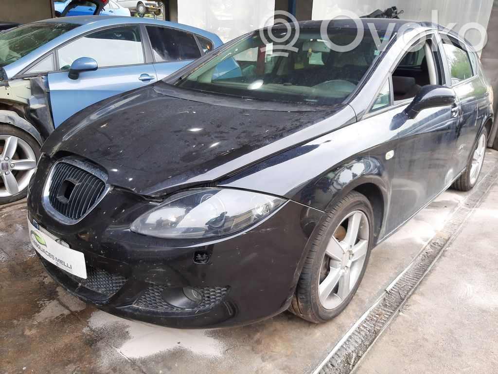 Leon (1P) Leon  1T0413031FF
