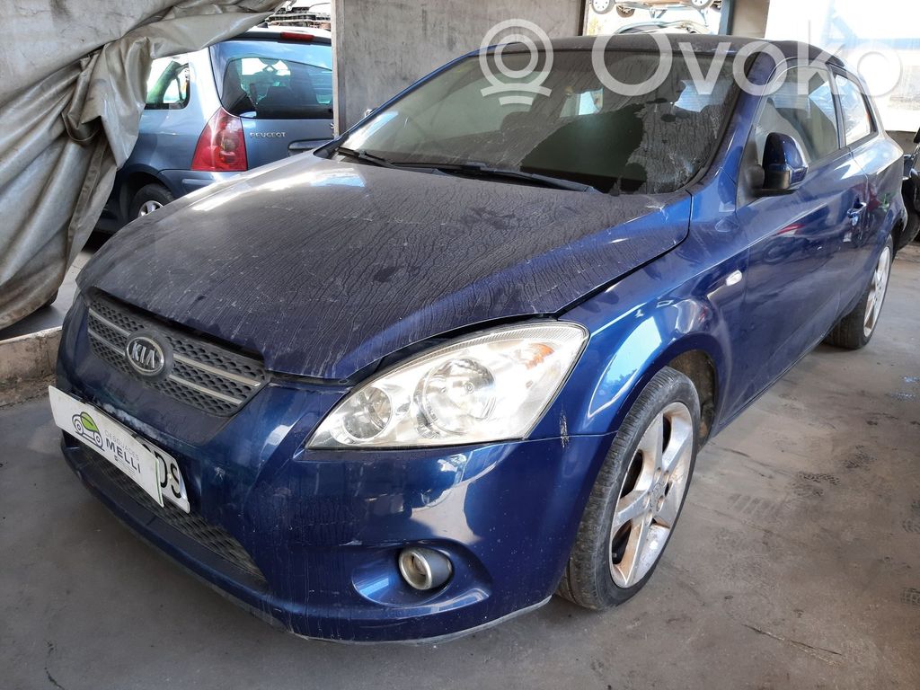 Ceed Ceed, Ceed SW, Pro Ceed  517152H100