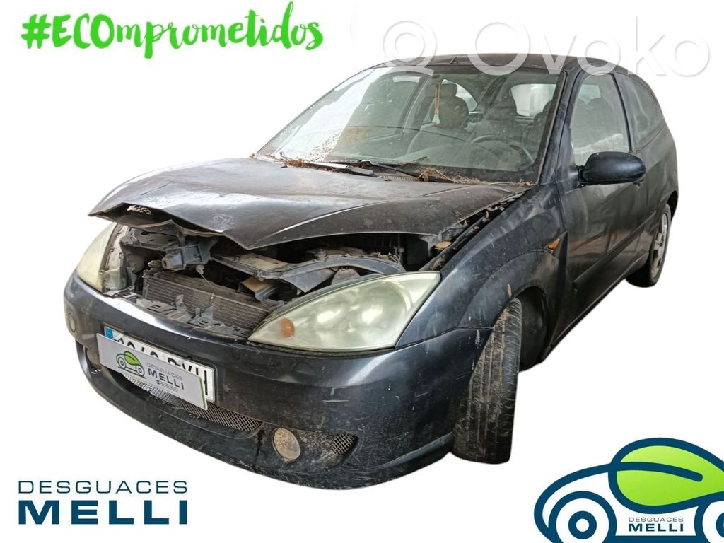 Focus Focus  1S4Q6090