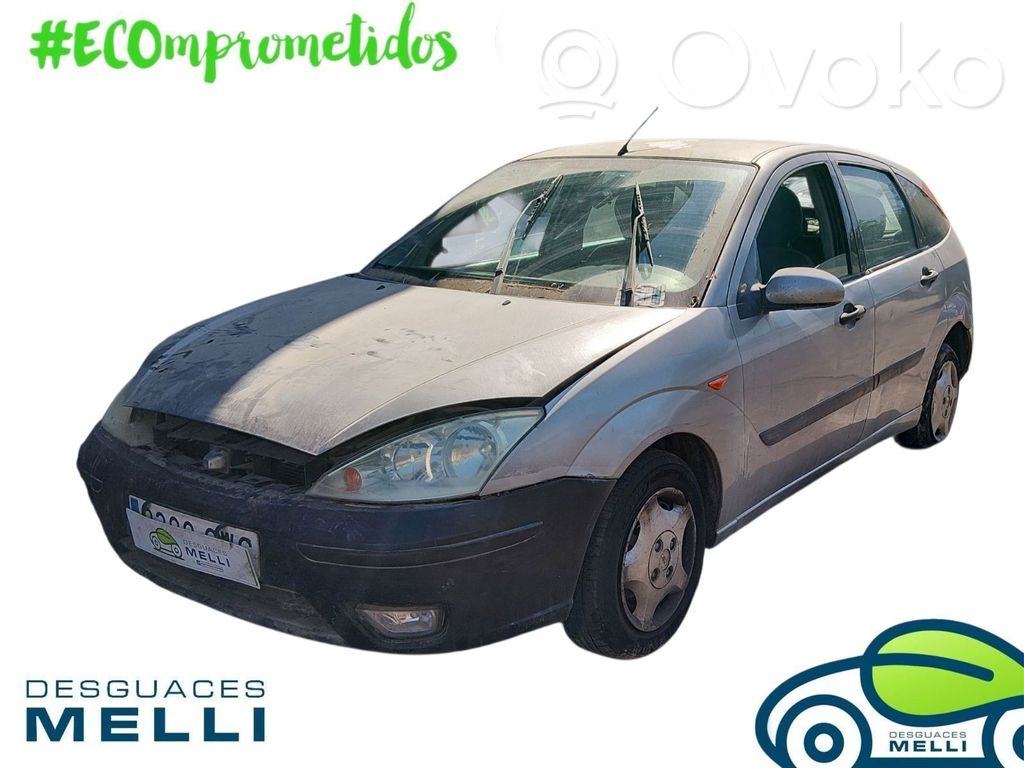 Focus Focus  4628835