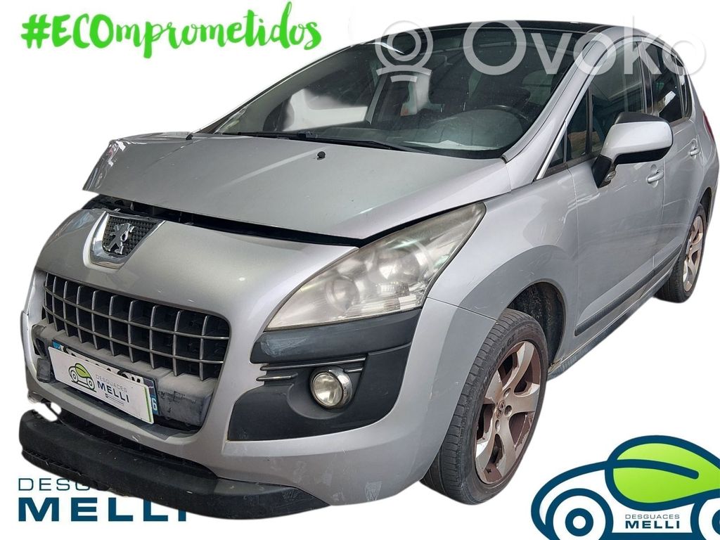 3008 I 3008  9006Q1
