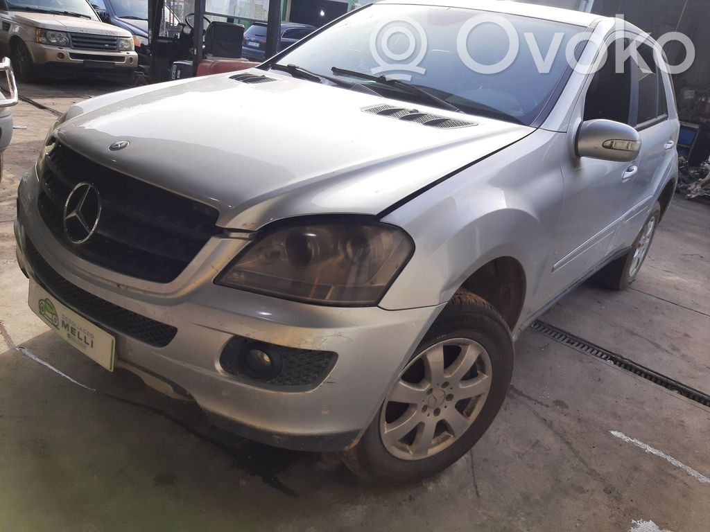 ML W164 ML-class, AMG (W163, W164, W166)  1645450908