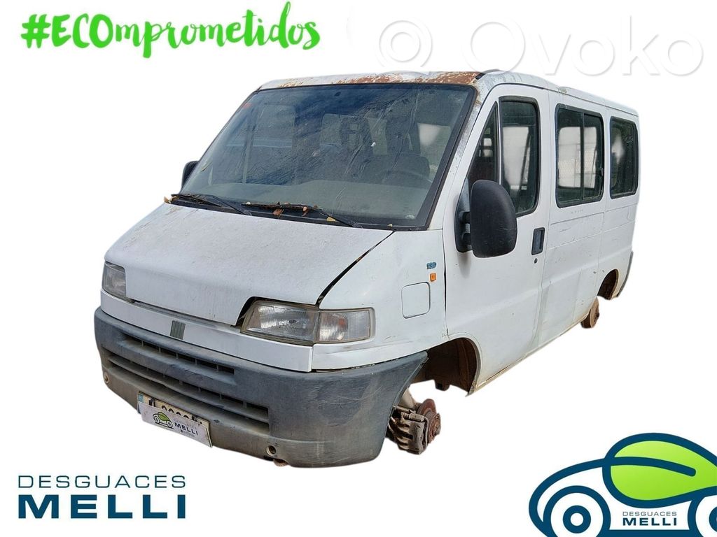 Ducato Ducato  A739