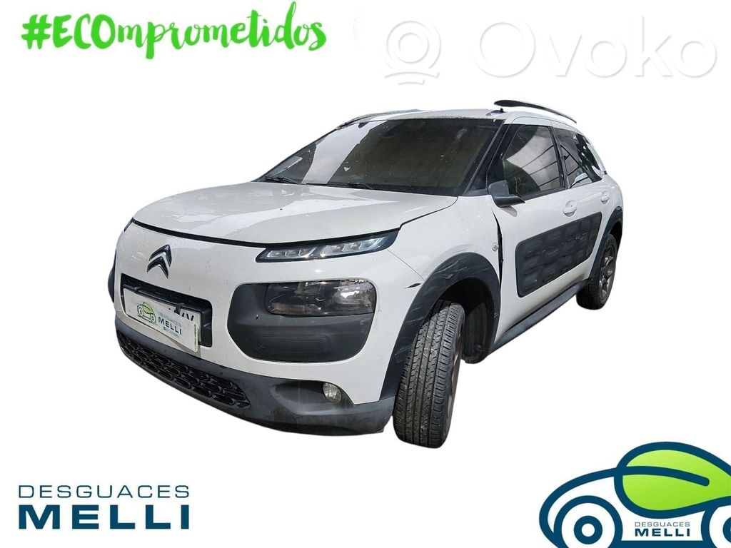 C4 Cactus C4 Picasso, Grand Picasso, Aircross, Cactus  9671530880