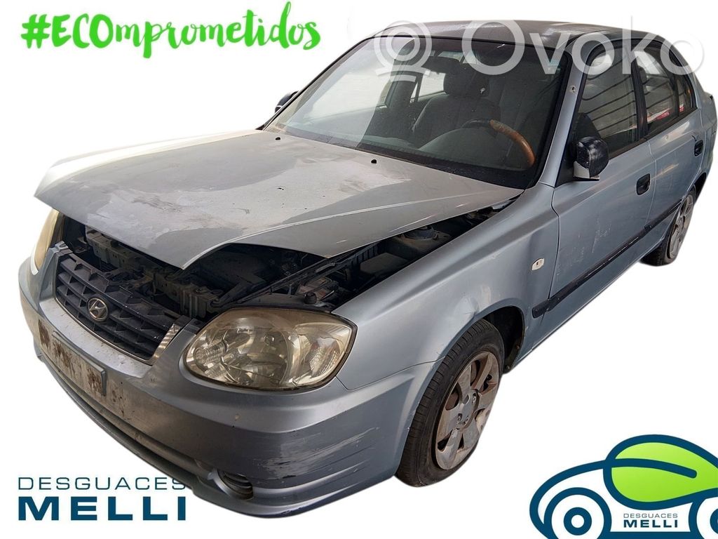 Accent Accent  9242025220