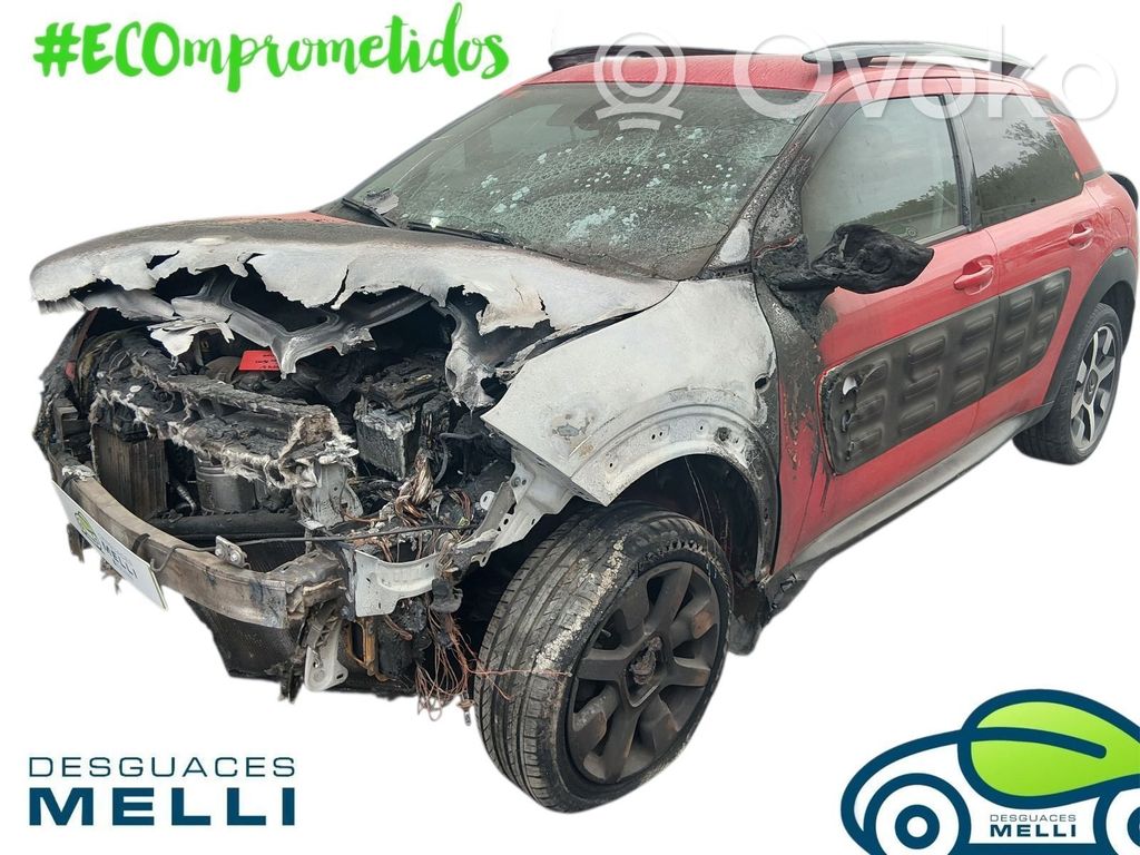 C4 Cactus C4 Picasso, Grand Picasso, Aircross, Cactus  9819038980