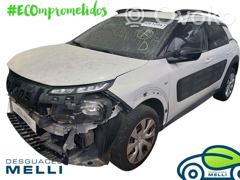 C4 Cactus C4 Picasso, Grand Picasso, Aircross, Cactus  1611569080