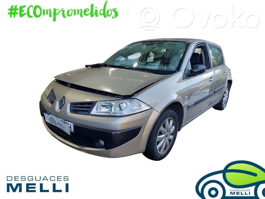 Megane II Megane  8200294788