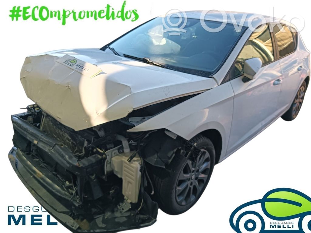 Leon (5F) Leon  5G0959855