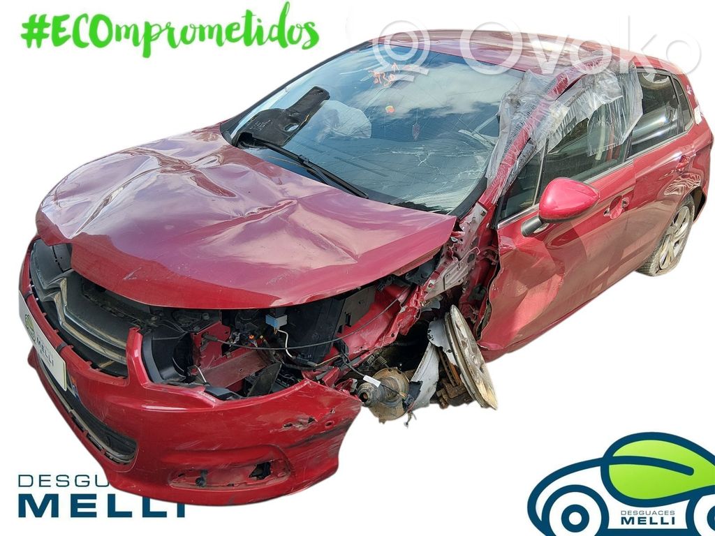 C4 I C4 Picasso, Grand Picasso, Aircross, Cactus  9675660680