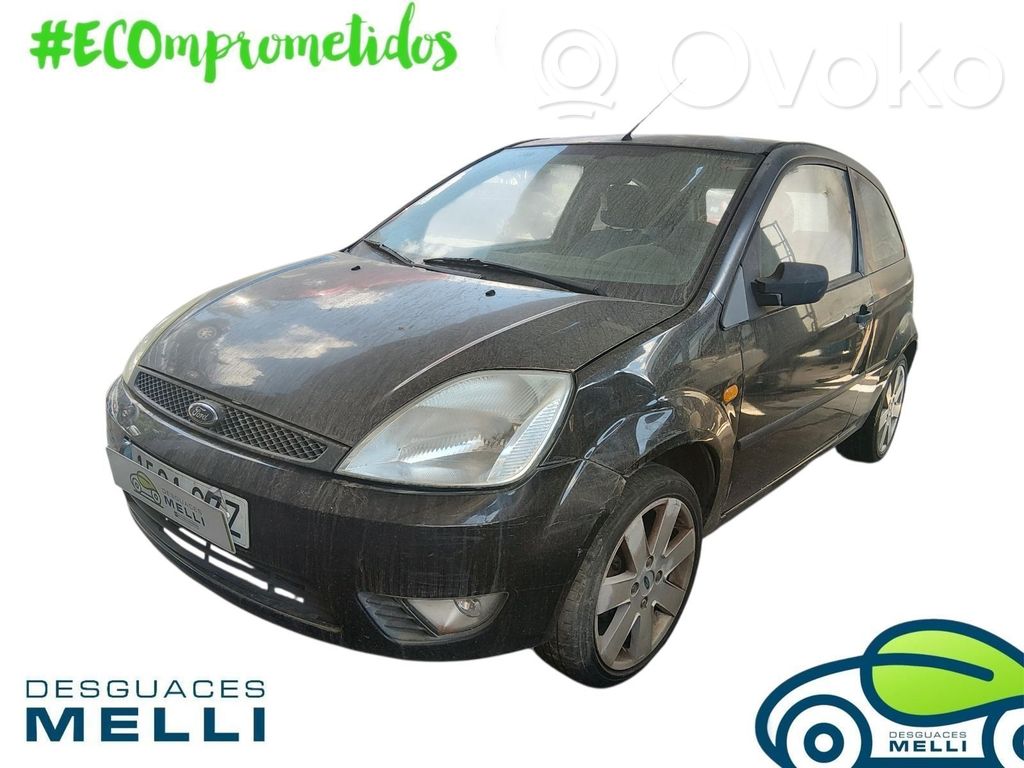 Fiesta Fiesta  1692539