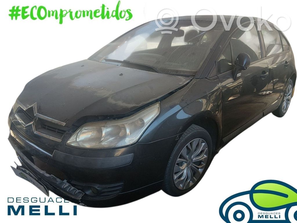 C4 I C4 Picasso, Grand Picasso, Aircross, Cactus  9659099180