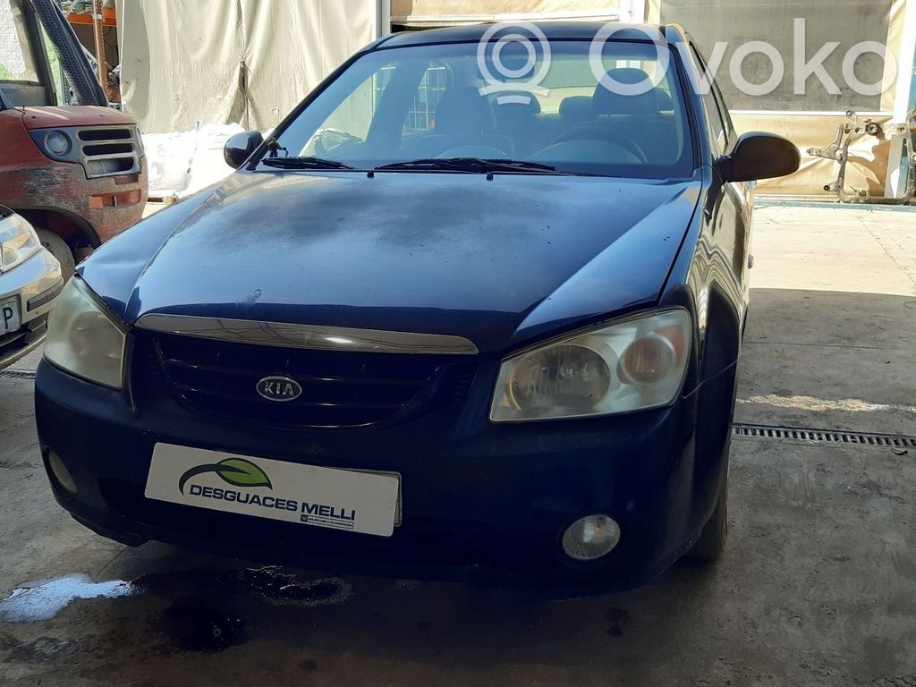 Cerato Cerato  581302F500