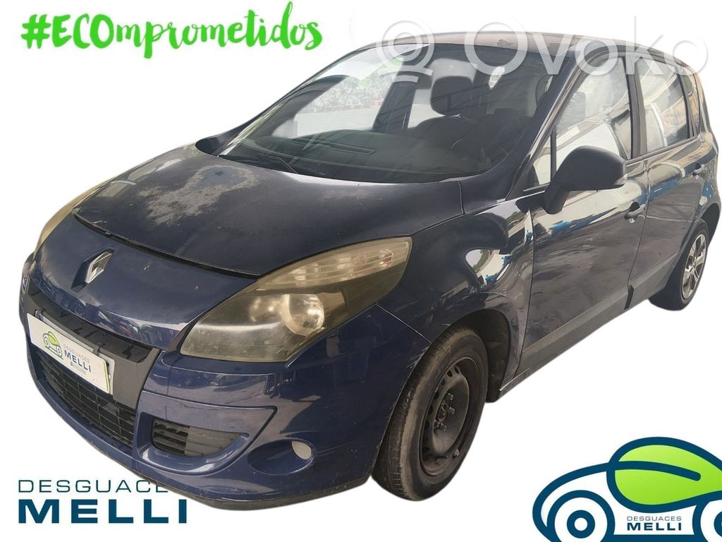 Scenic III -  Grand scenic III Scenic  256100004R