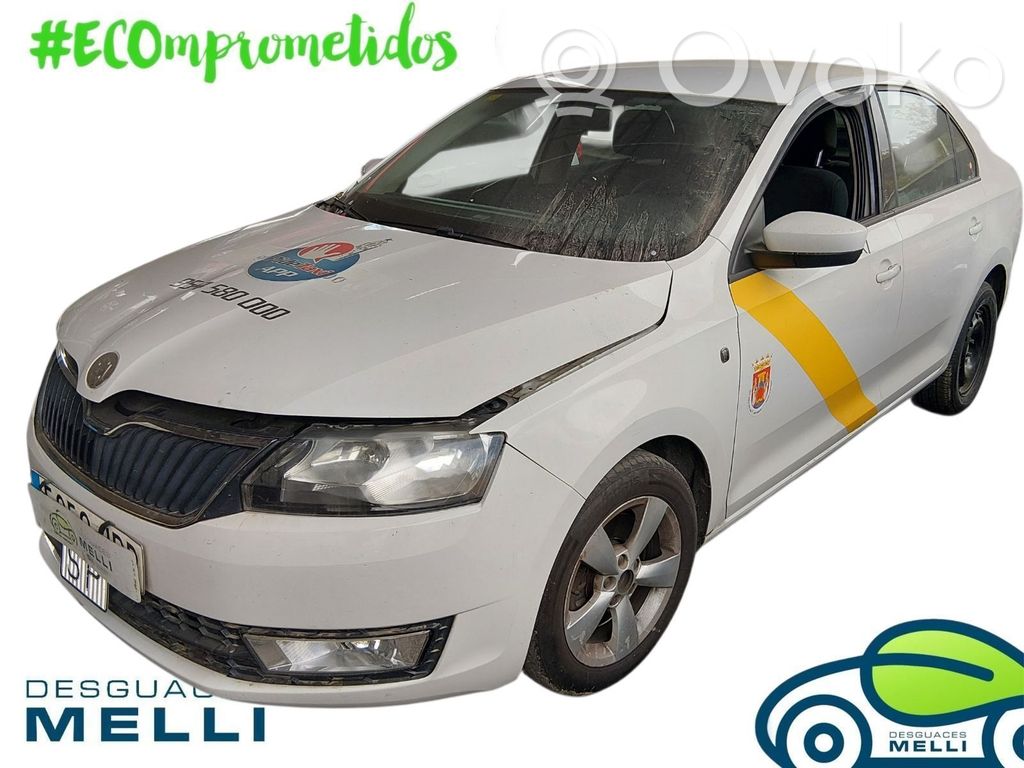 Rapid (NH) Rapid  5JB941015